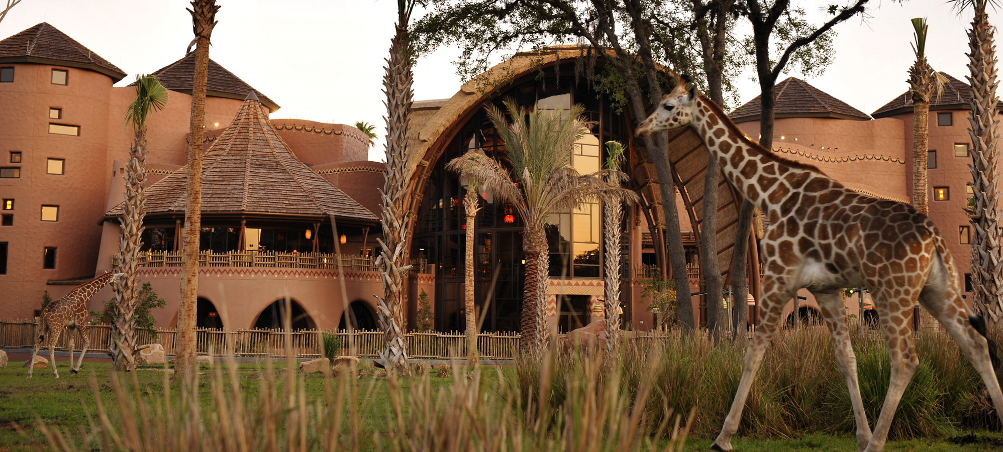 Disney's Animal Kingdom Villas