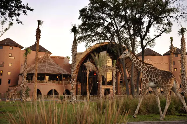 DVC Resort