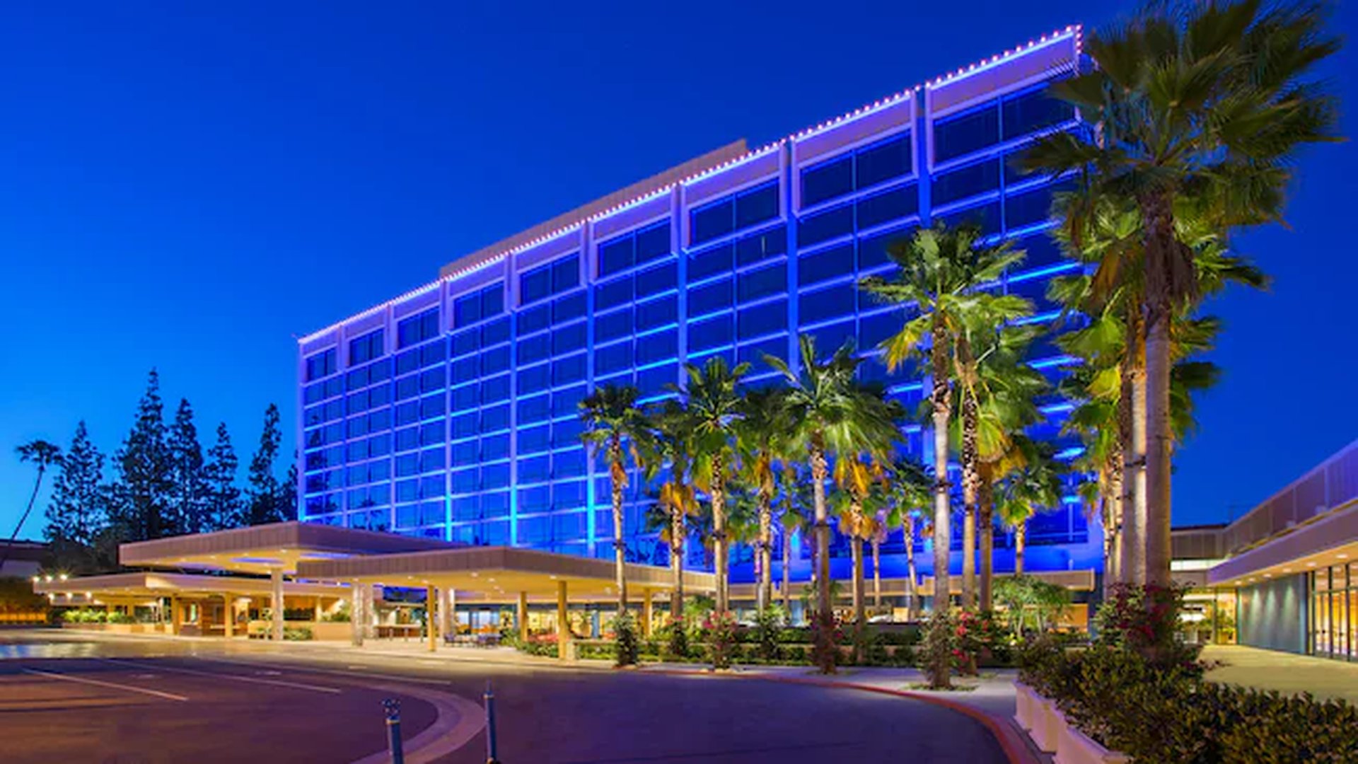 Disneyland-Hotel-Suite.jpg DVC Resort